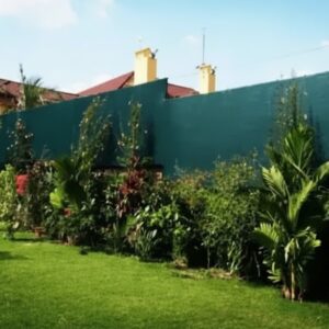 privacy fence screening